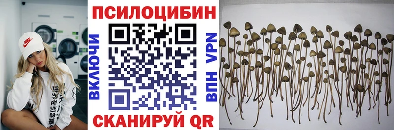 Псилоцибиновые грибы GOLDEN TEACHER  мега ТОР  Салехард 